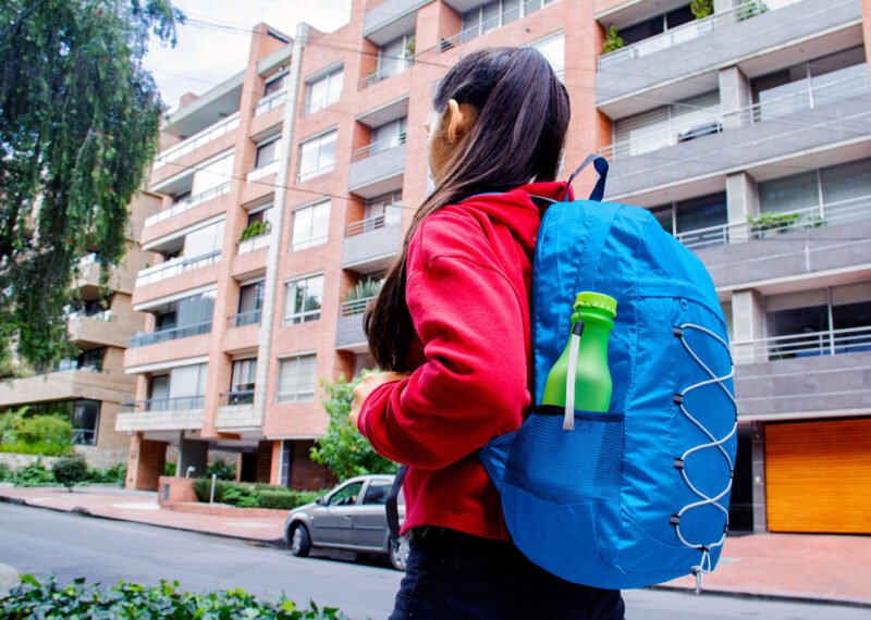 Morral Plegable Monet